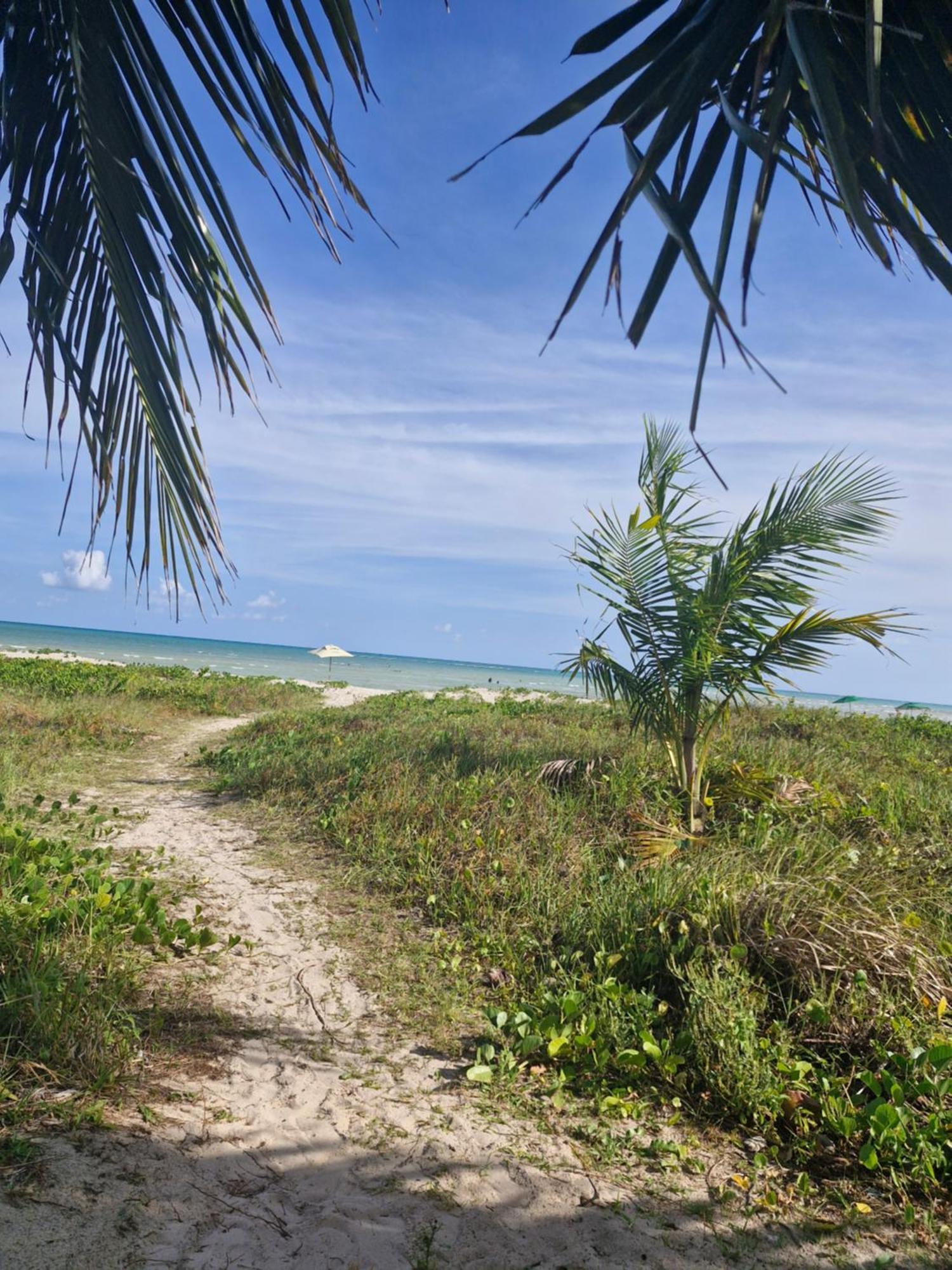 Msflats Paripueira Praia Wifi Ar Cozinha E Varanda Nascente C Rede Екстер'єр фото