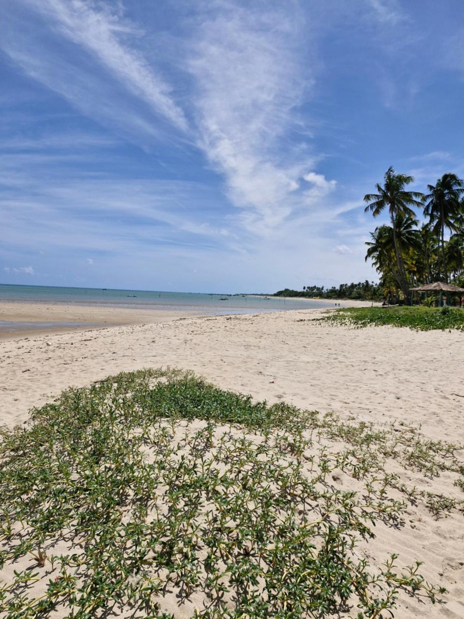 Msflats Paripueira Praia Wifi Ar Cozinha E Varanda Nascente C Rede Екстер'єр фото